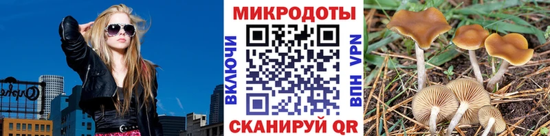 Псилоцибиновые грибы ЛСД  Купить  Губкин 