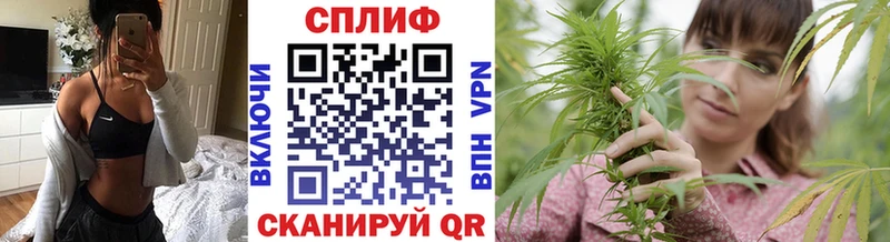 Канабис индика  Купить закладки  Губкин 